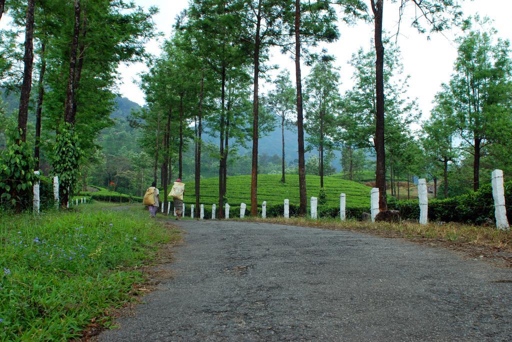 Deep Woods Resort Munnar Buitenkant foto