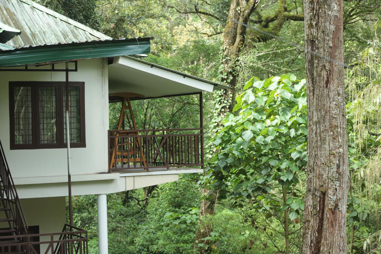 Deep Woods Resort Munnar Buitenkant foto