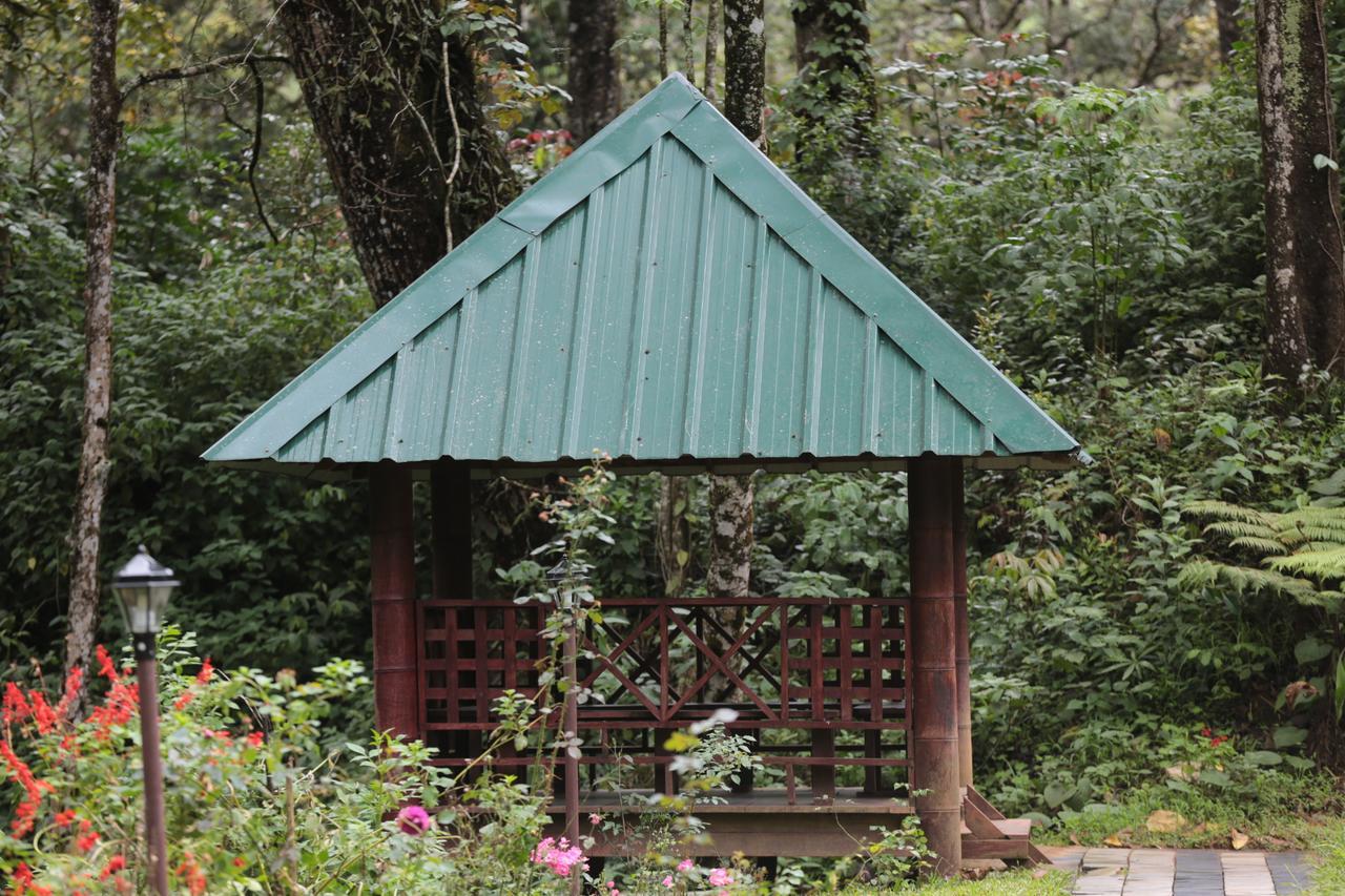 Deep Woods Resort Munnar Buitenkant foto