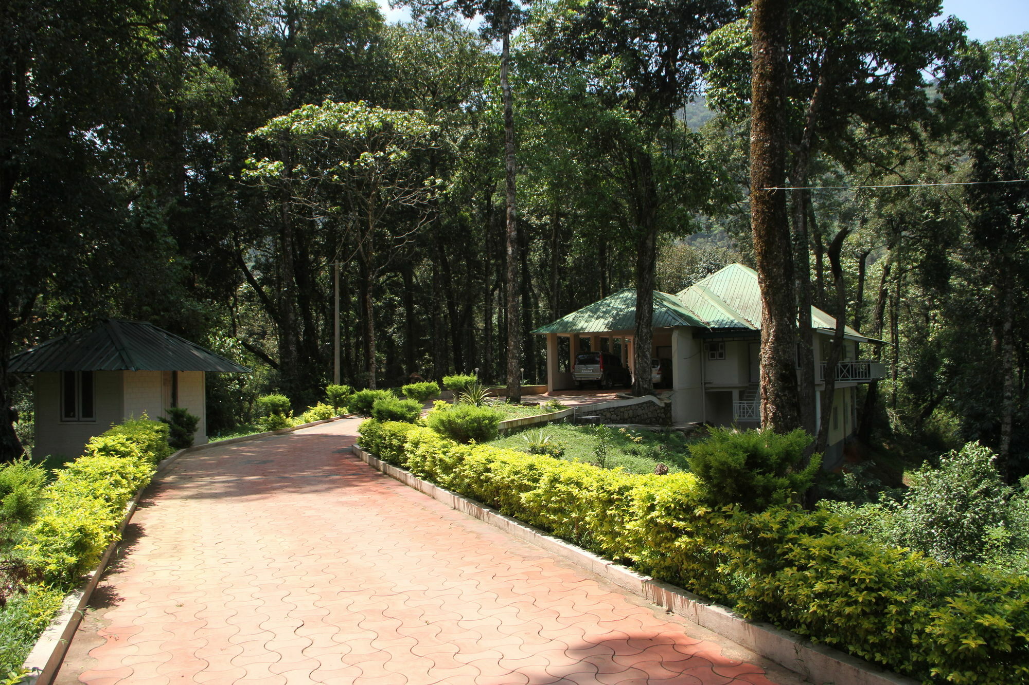 Deep Woods Resort Munnar Buitenkant foto